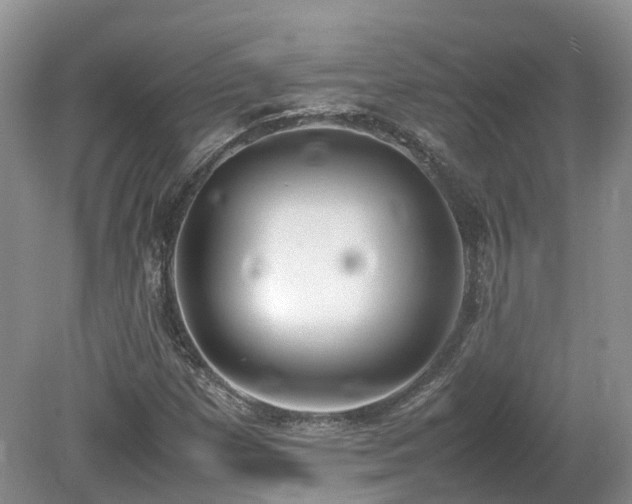 X0000080141257200612081247