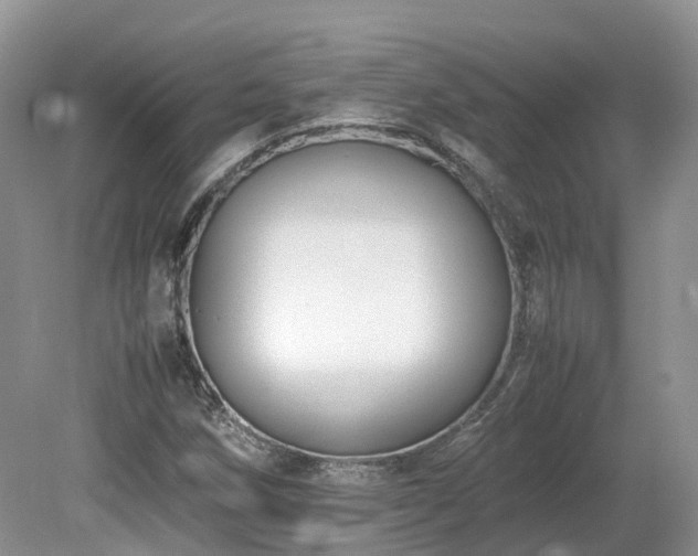 X0000080141258200612081247