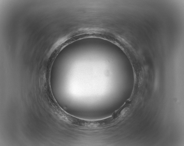 X0000080141261200612081247
