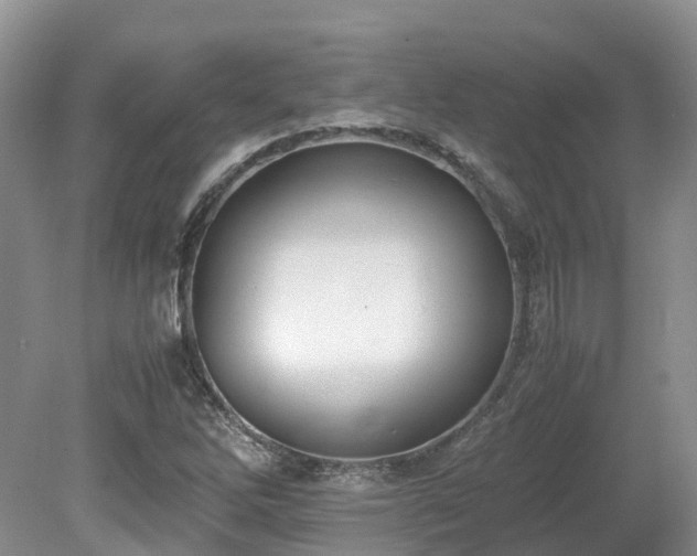 X0000080141262200612081247