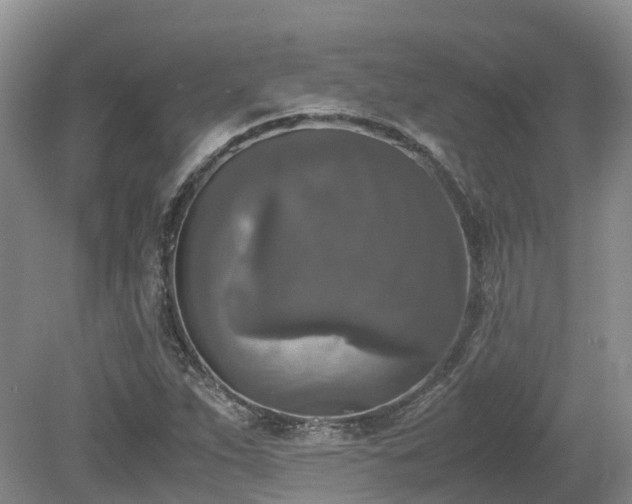 X0000080141263200612081247