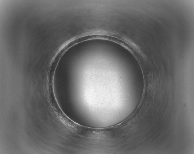 X0000080141264200612081247