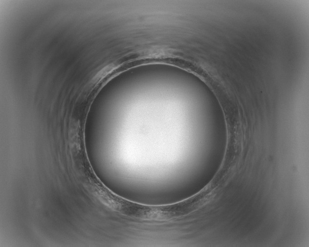 X0000080141265200612081247