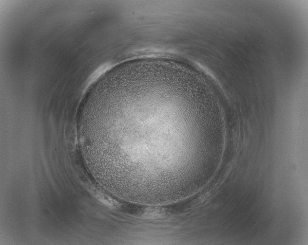 X0000080141267200612081246