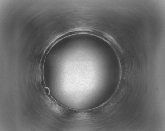 X0000080141268200612081246