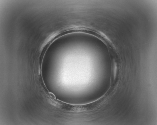 X0000080141269200612081246
