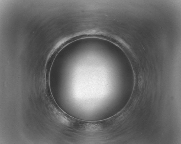X0000080141270200612081246