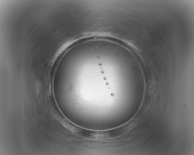 X0000080141271200612081246
