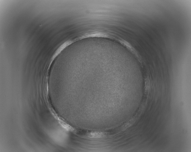 X0000080141274200612081246