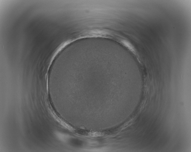 X0000080141275200612081246
