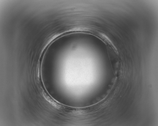 X0000080141276200612081246