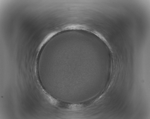 X0000080141277200612081246