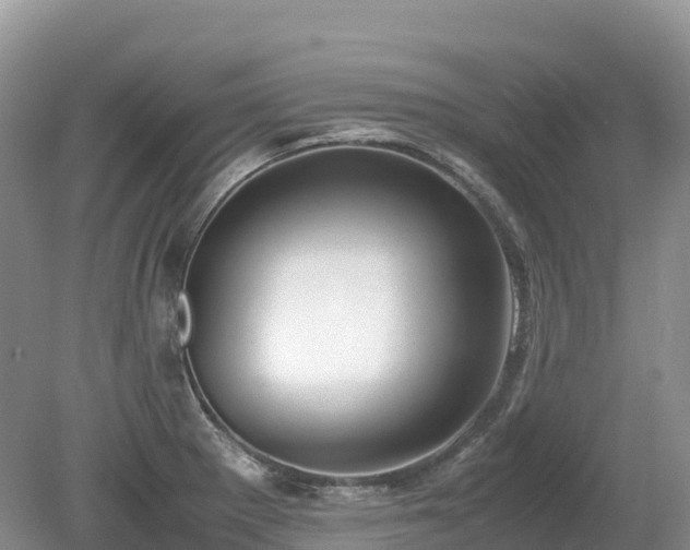 X0000080141281200612081246