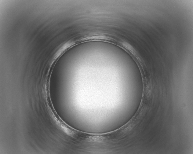 X0000080141282200612081246