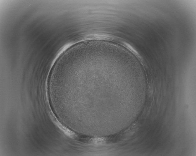 X0000080141283200612081246