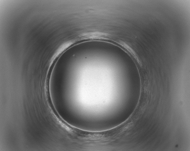 X0000080141285200612081246