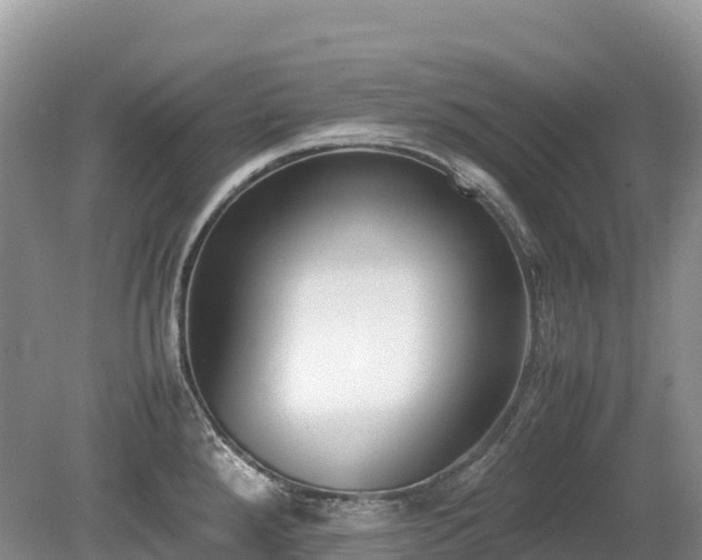 X0000080141288200612081246