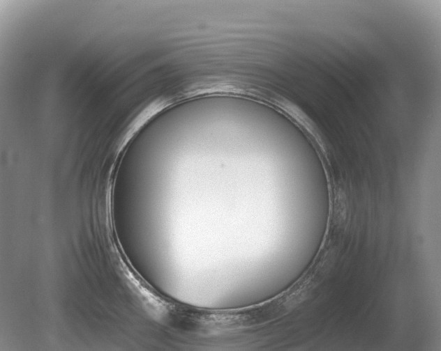 X0000080141290200612081246