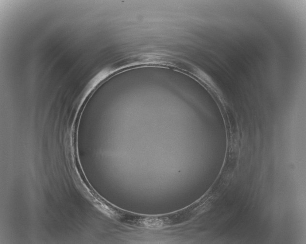 X0000080141291200612081246