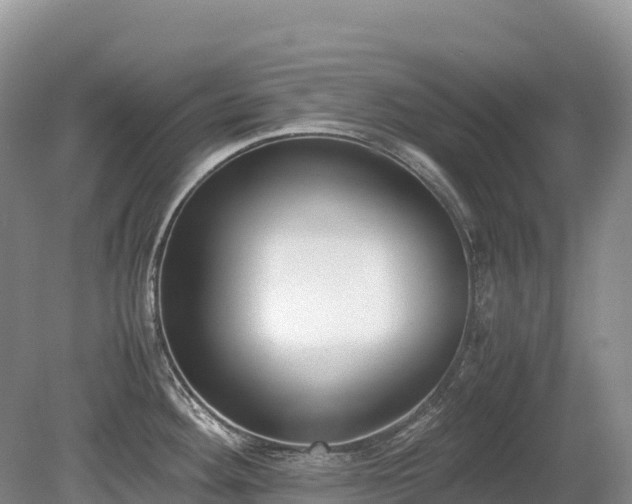 X0000080141292200612081246