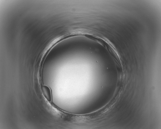 X0000080141293200612081246
