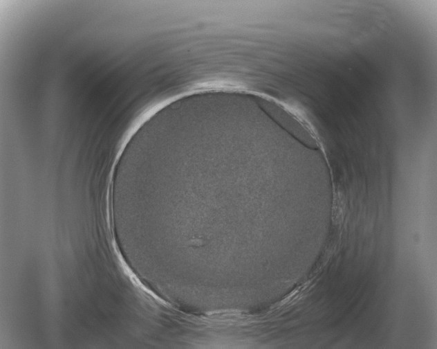 X0000080141295200612081246