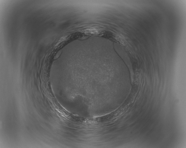 X0000080141297200612081245