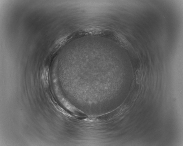 X0000080141298200612081245