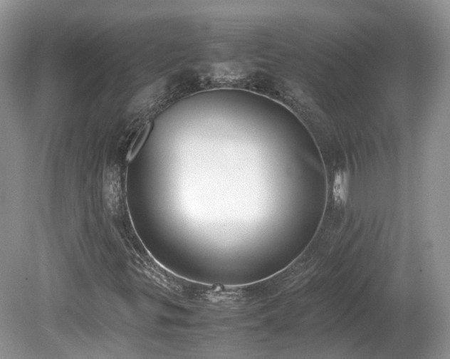 X0000080141299200612081245