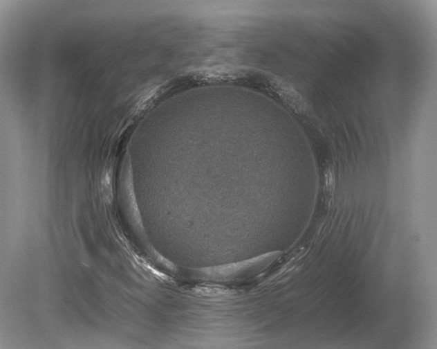 X0000080141300200612081245