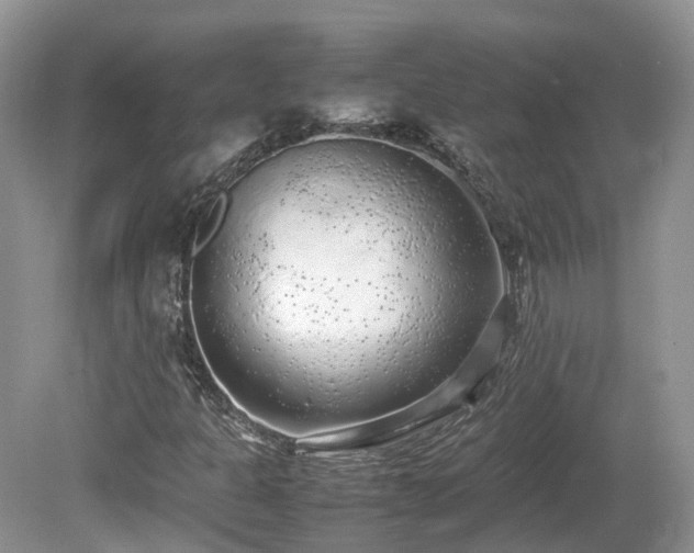 X0000080141301200612081245