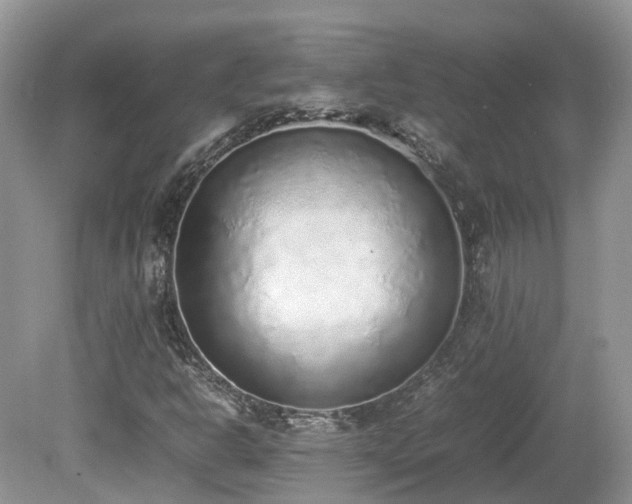 X0000080141302200612081245