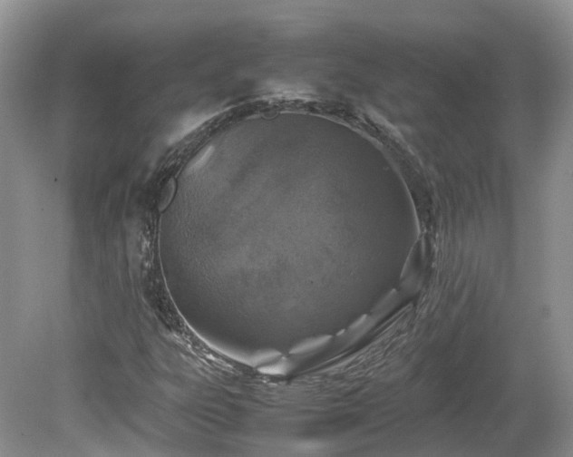 X0000080141303200612081245