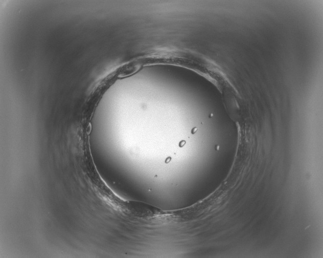 X0000080141304200612081245