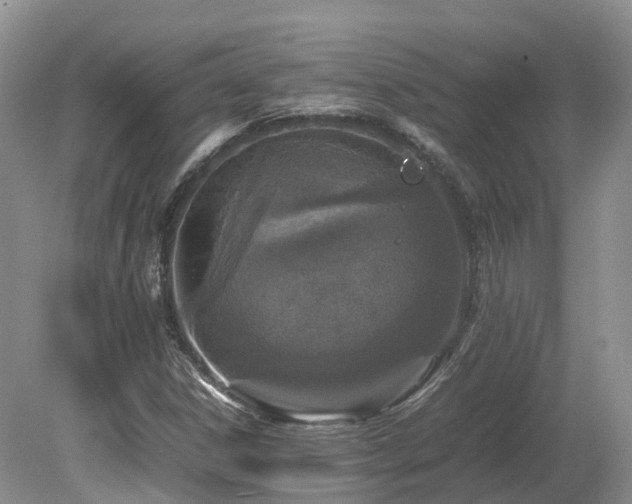 X0000080141306200612081245