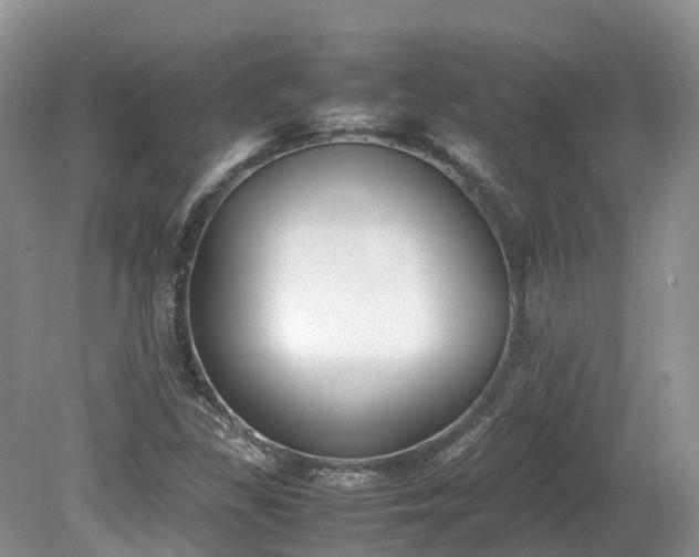 X0000080141309200612081245