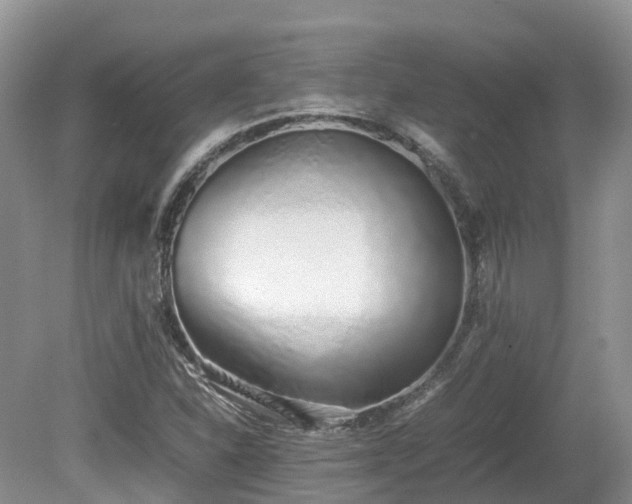 X0000080141310200612081245