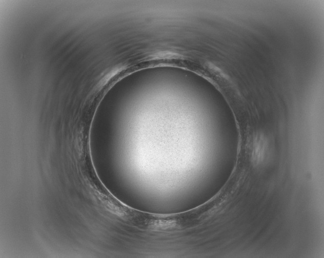 X0000080141313200612081245
