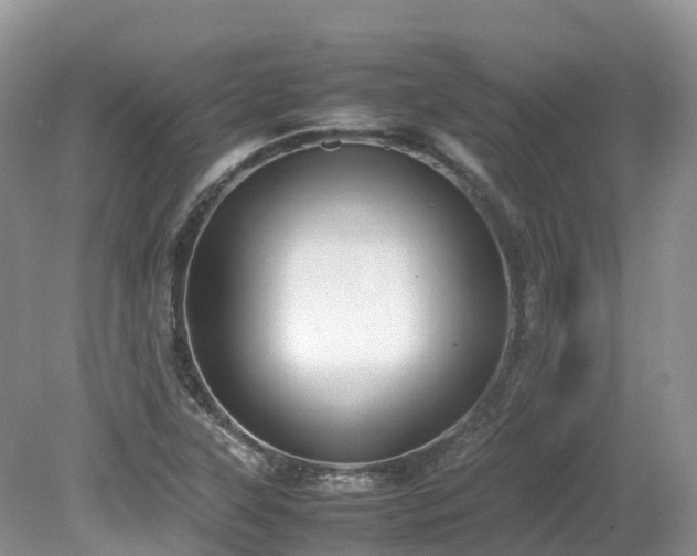 X0000080141315200612081246