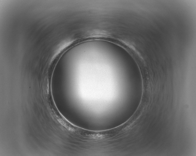 X0000080141317200612081246