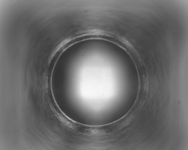 X0000080141318200612081246