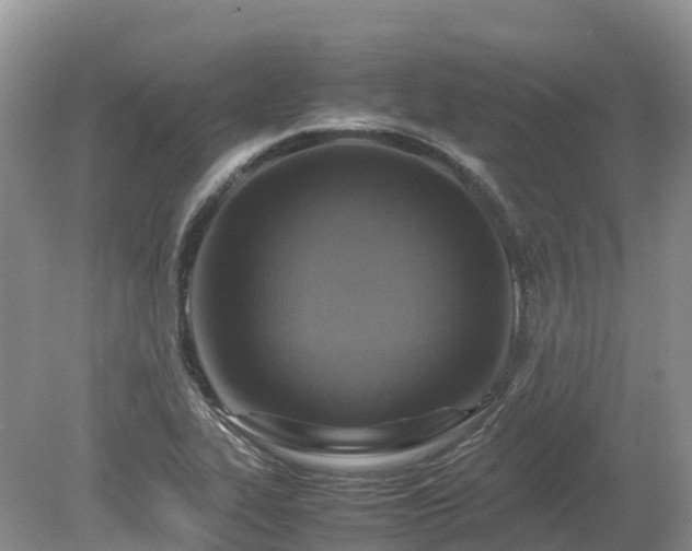 X0000080141319200612081246