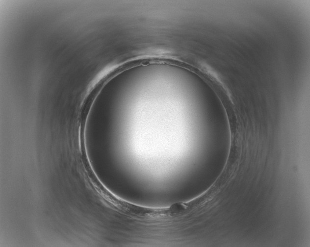 X0000080141320200612081246