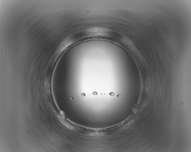 X0000080141321200612081246