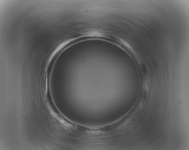 X0000080141323200612081246