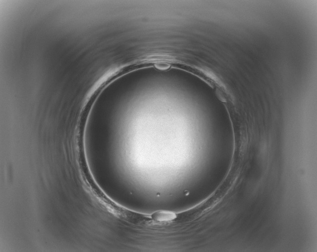 X0000080141325200612081246