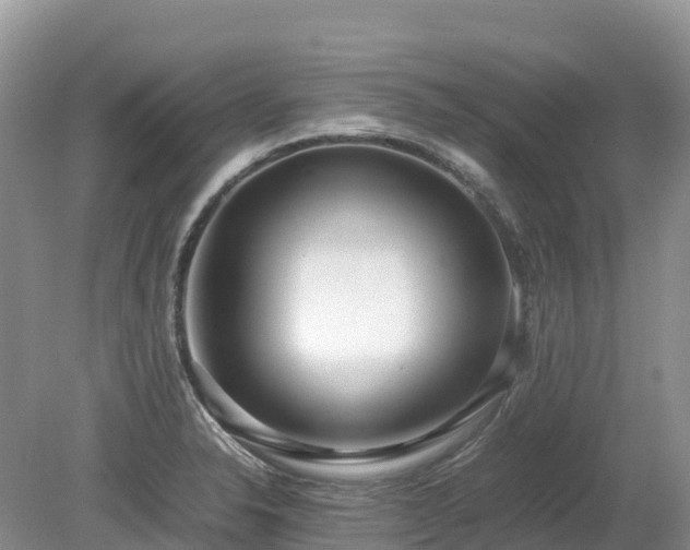 X0000080141326200612081246