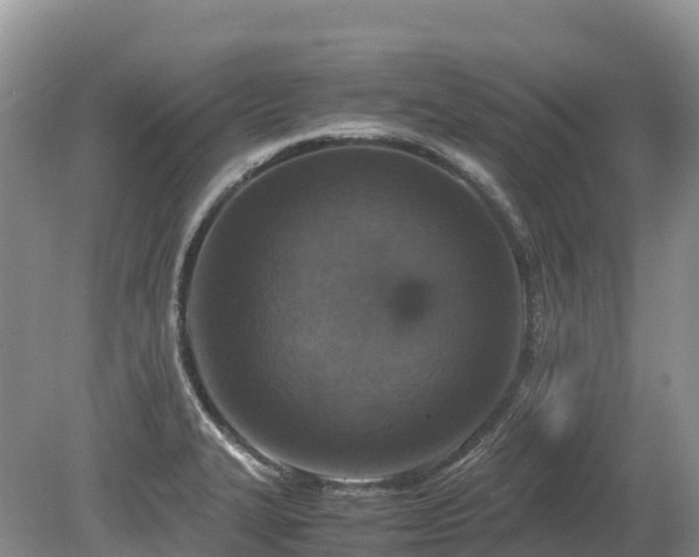 X0000080141327200612081246