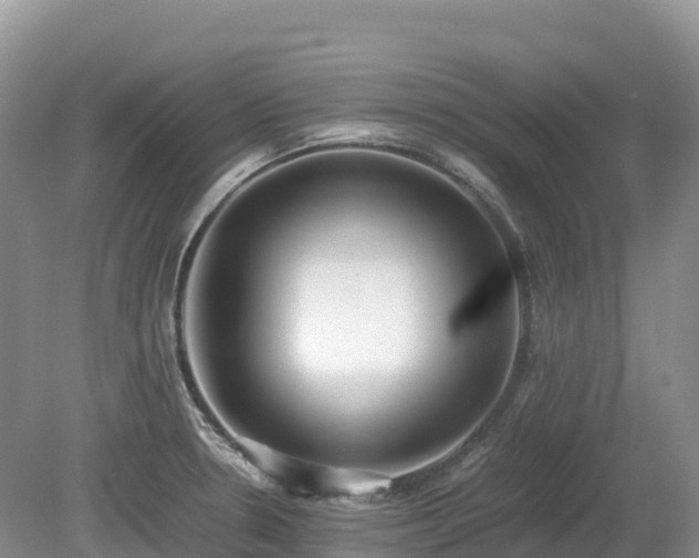 X0000080141330200612081246