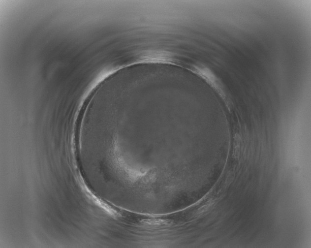 X0000080141331200612081246